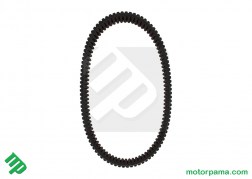 cinghia trasmissione cf moto 450 (1)